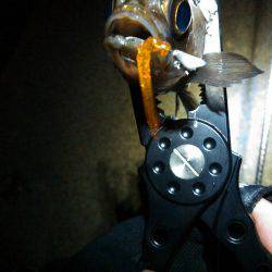 潮のタイミング